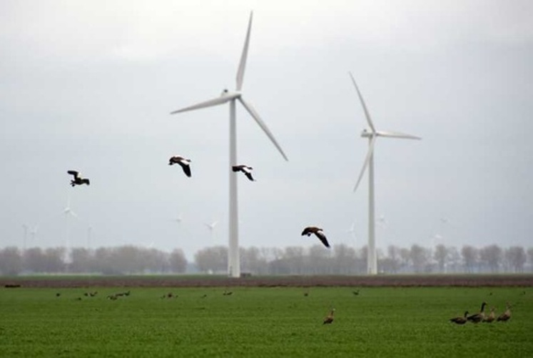 Átalakítanák a villamosenergia-támogatási rendszert