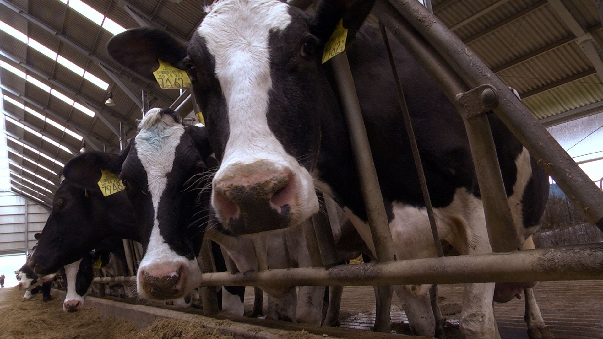 Az agráriumban is csökkenteni kell az üvegházhatású gázok kibocsátását. (Hangoló 2017. 03. 17.)