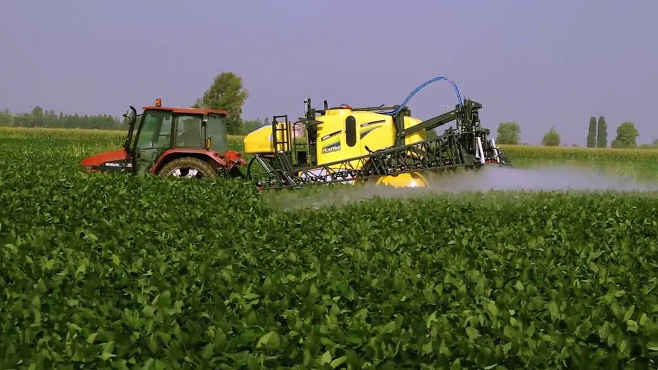 A biológia győz-e a kémia fölött? (Hangoló 2017. 06. 23.)