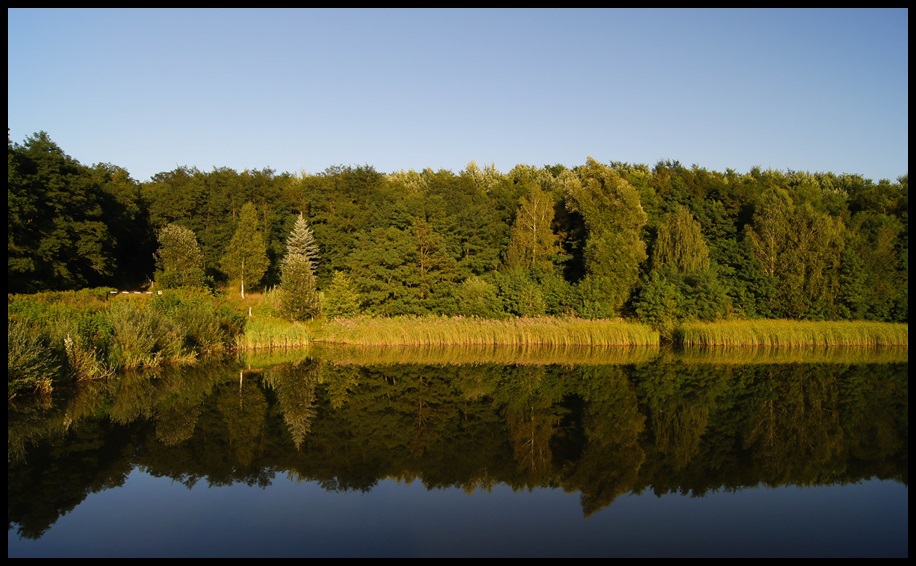 Tengerekkel versenyeznek a magyar tavak (Hangoló 2017. 07. 17.)