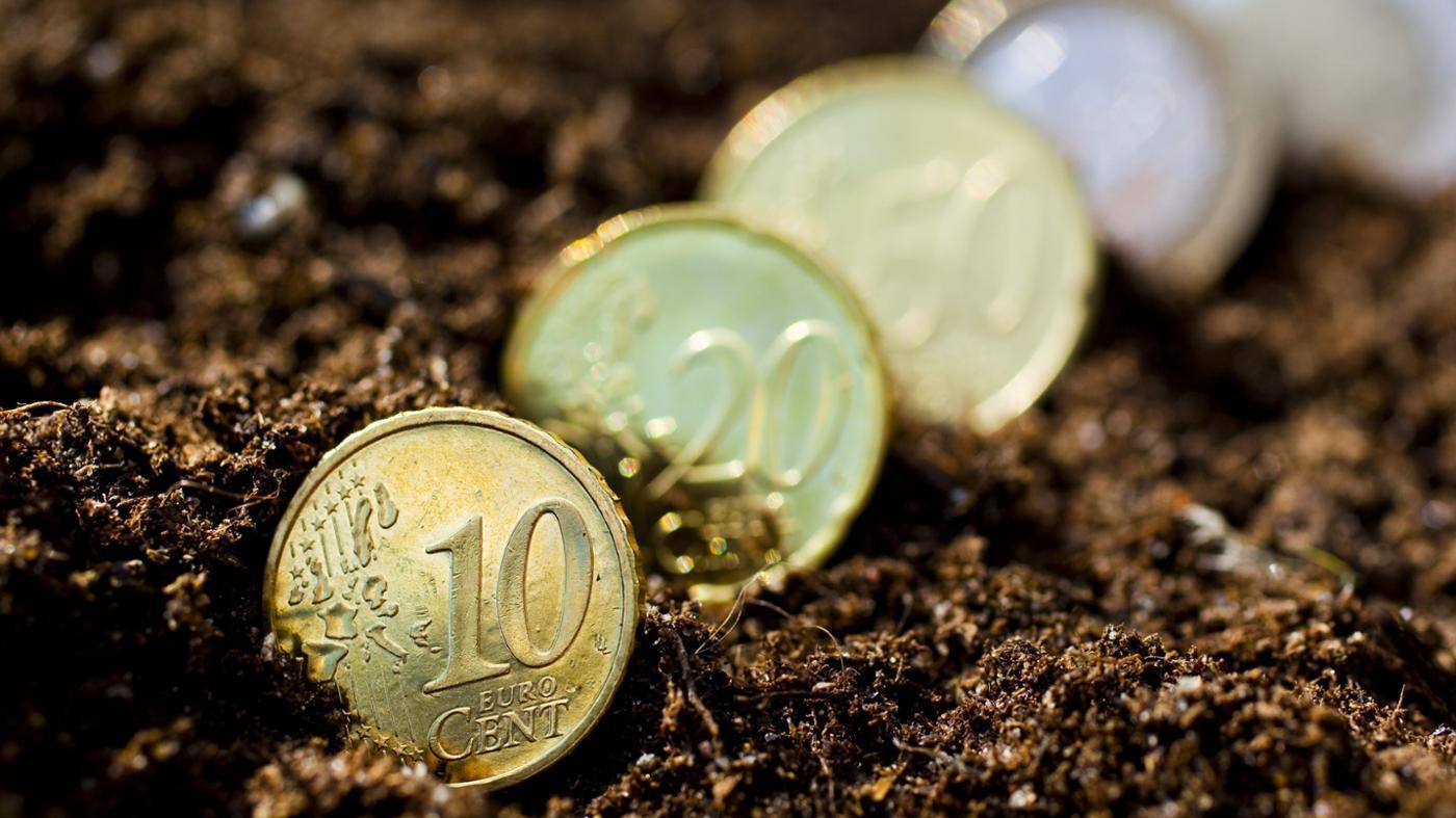 A piacot figyeli az agrártársadalom (Hangoló 2017.09.29.)