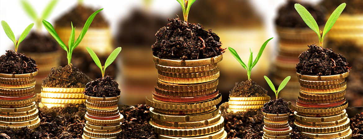 Ki kell használni a mezőgazdaság forrásbőségét! (Hangoló 2017. 11. 02.)