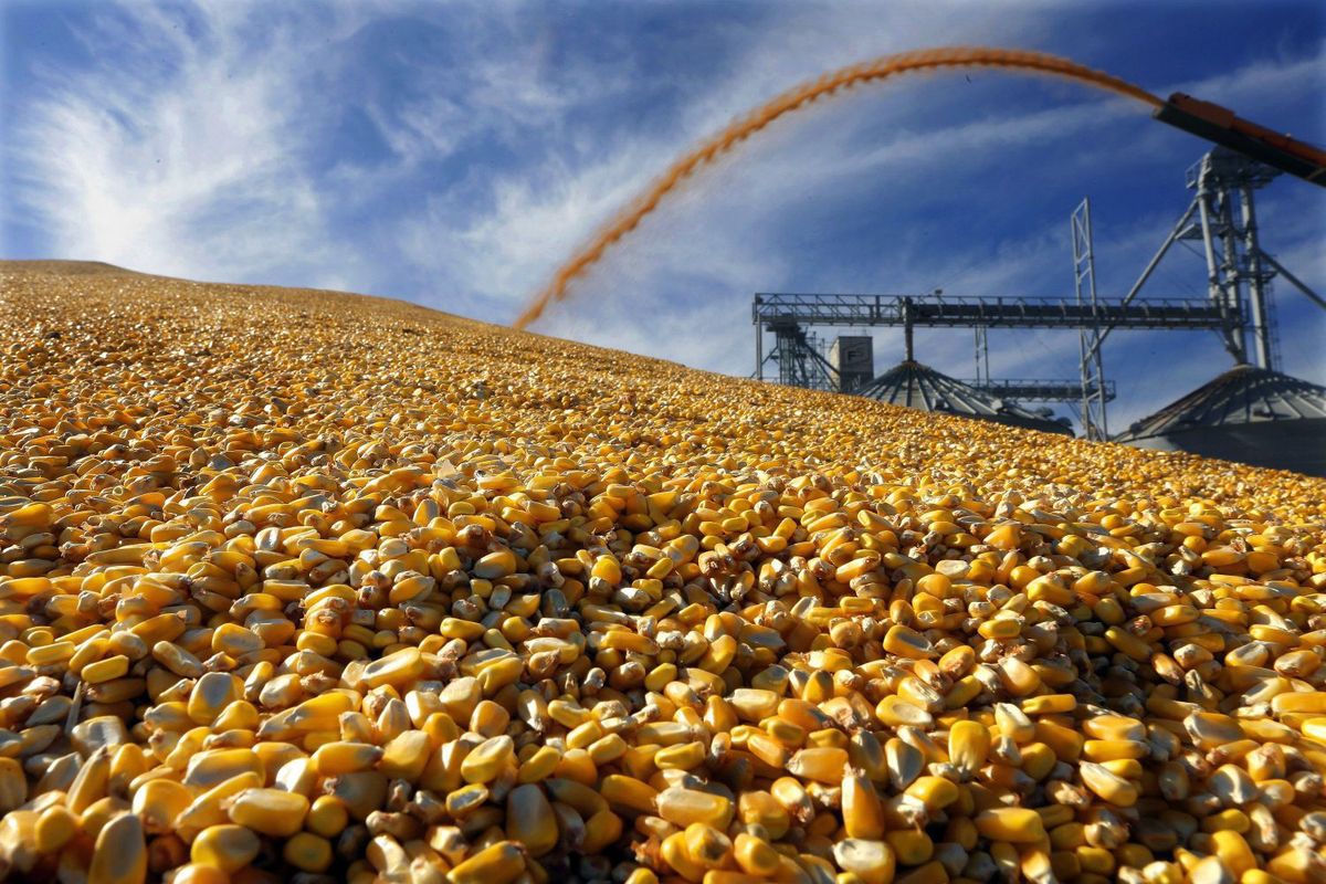 Előre menekül a mezőgazdaság (Hangoló 2018. 01. 09.)