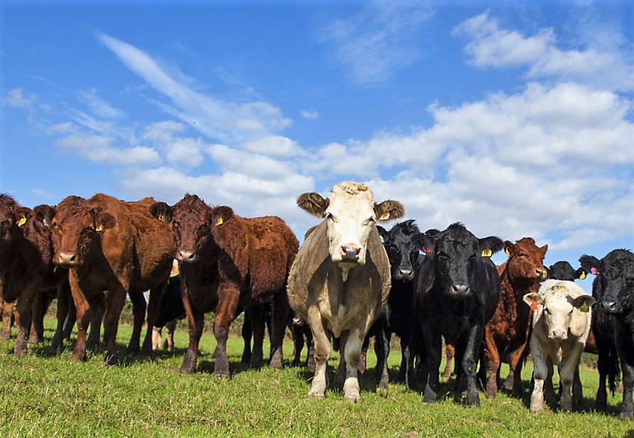 Újra fel kell fedezni a minőséget! (Hangoló 2018. 03. 08.)