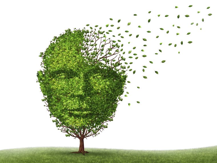 Gyógyítani nem lehet - megelőzni talán? (Spájz 2018. 06. 28.)