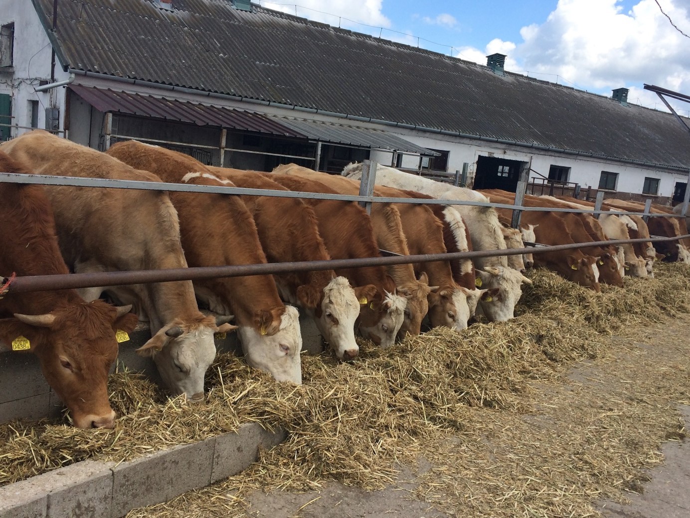 A minőség a kitörési pont (Hangoló 2018. 08. 17.)