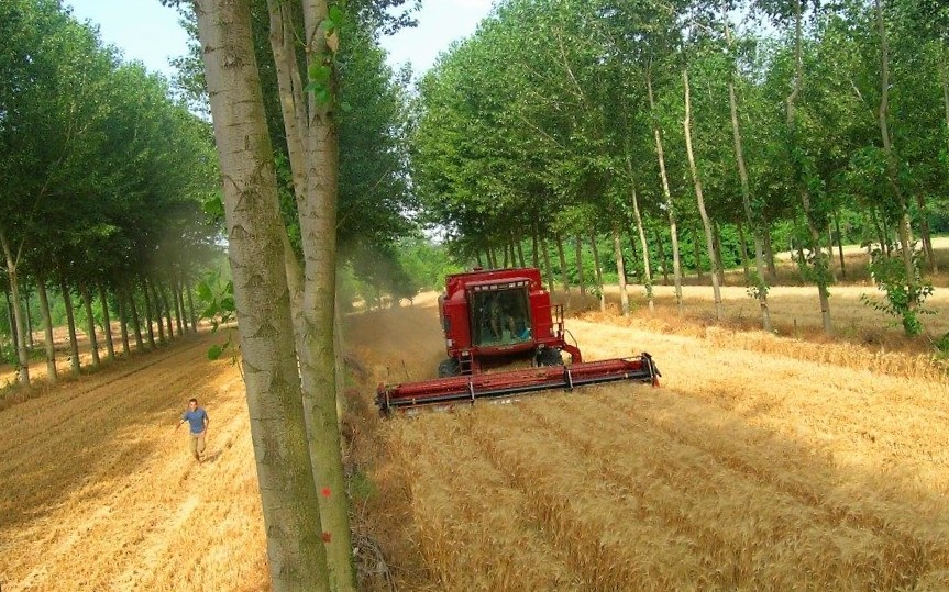 Speciális földművelés a klímaváltozás ellen (Spájz 2018. 10. 17.)