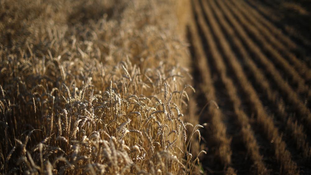 Még menthető az uniós agrárköltségvetés (Hangoló 2018. 10. 12.)