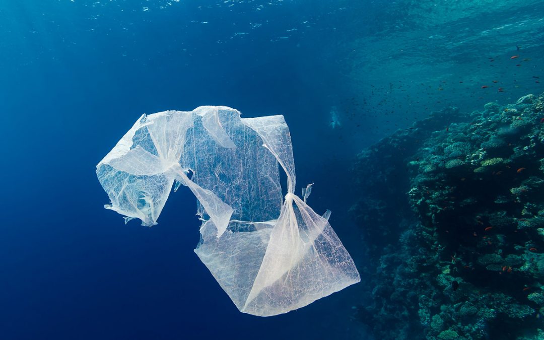 Újabb lendületet vesz a műanyag elleni küzdelem (Hangoló 2018. 10. 09.)
