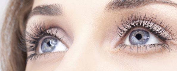 Telefonos alkalmazás a teljes életért (Spájz 2018. 11. 08.)