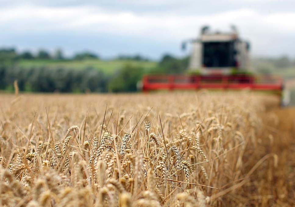 Saját lábon is megáll az agrárium? (Hangoló 2019. 01. 14.)