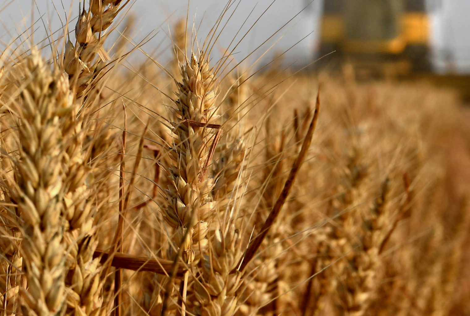 Versenyeznek a gazdákért a pénzintézetek (Hangoló 2019. 03. 05.)