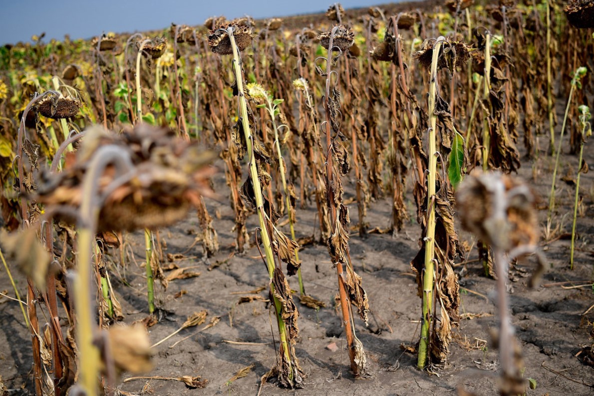 Nem csak a gazdákat érinti a tervezett forráskivonás (Hangoló 2019. 05. 02.)