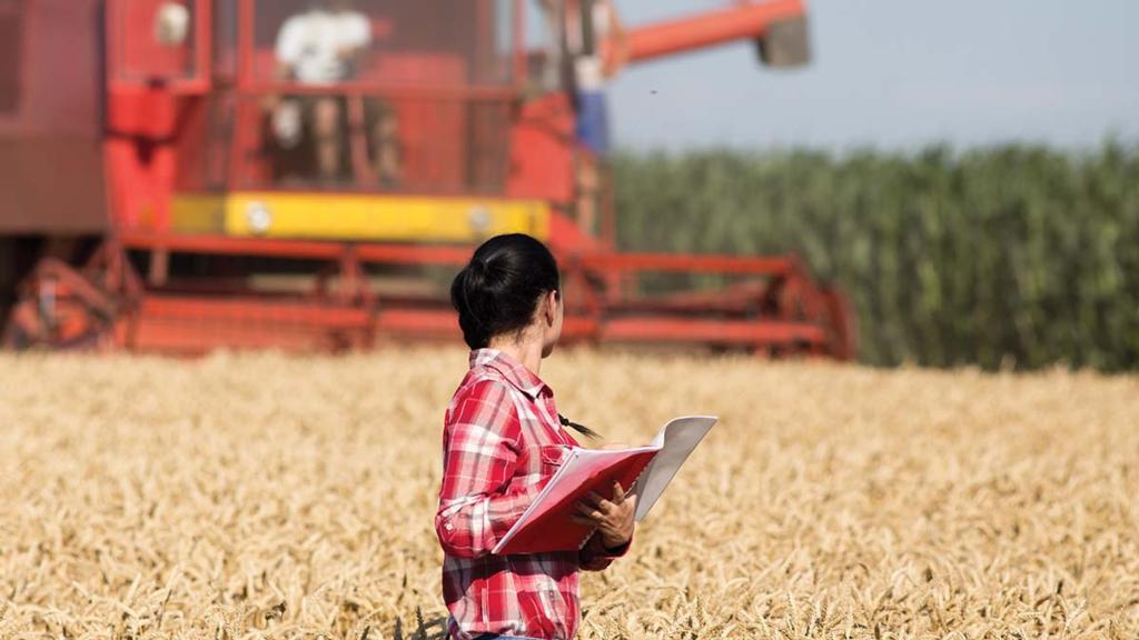 Fenntartják az agrárszektor beruházási dinamizmusát (Hangoló 2019.09.17.)