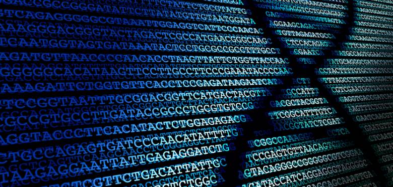 Már itthon is elérhető a géndiagnosztika (Spájz 2019.11.11.)