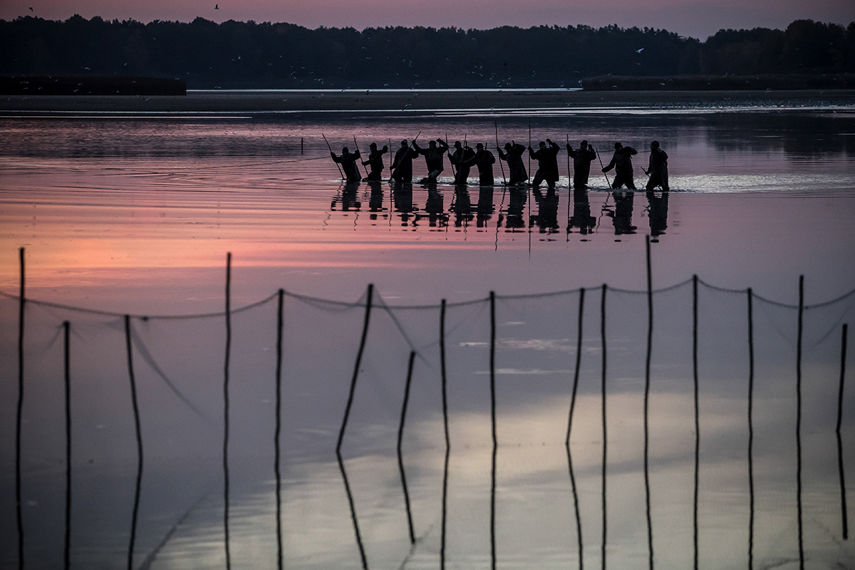 Ökológiai lábnyoma sincs a halnak (Hangoló 2019.12.10.)