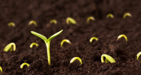 A mezőgazdaság válságálló szektor (Hangoló 2020.04.20.)