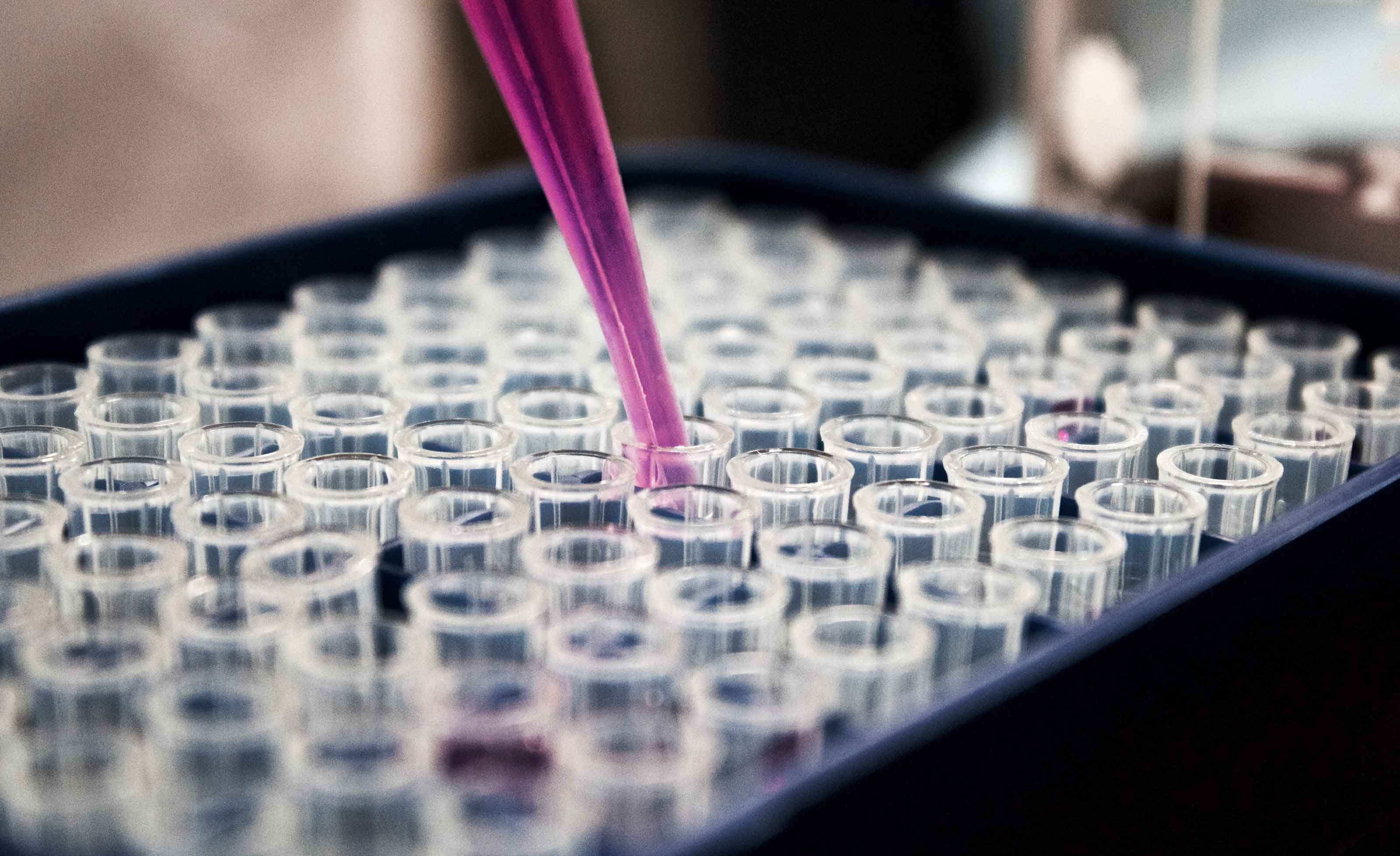 Egyre jobban megismerik a koronavírust (Hangoló 2020.05.08.)