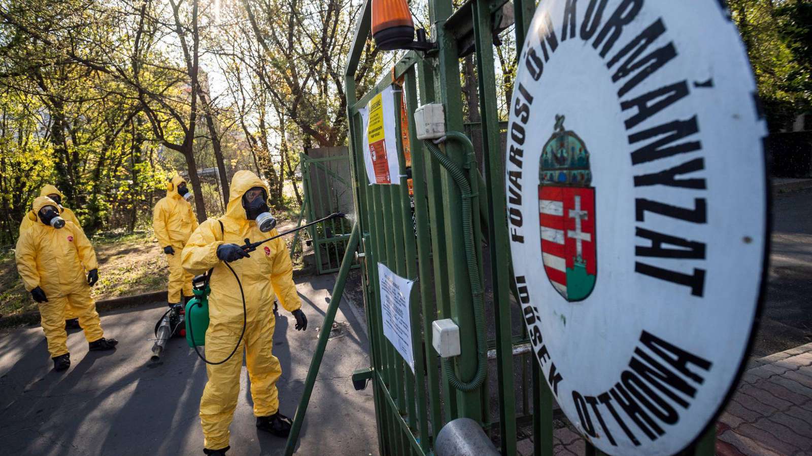 Elkerülhető lett volna a tragédia a Pesti úti idősotthonban (Hangoló 2020.06.16.)