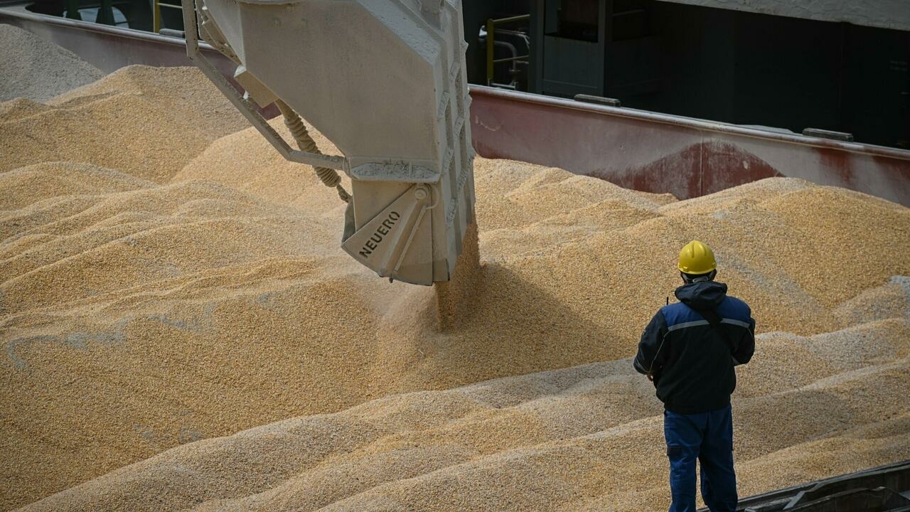 Ez minden harmadik búzaszem sorsa a világon (Hangoló 2022. 05. 26.)