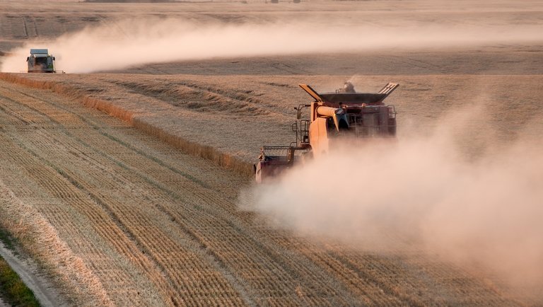 Tartalékolni kezdtek a gabona-importőrök (Hangoló 2022.07.19.)