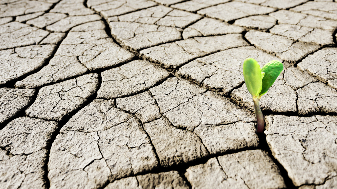 Víz nélkül nincs környezetvédelem (Hangoló 2022.08.02.)