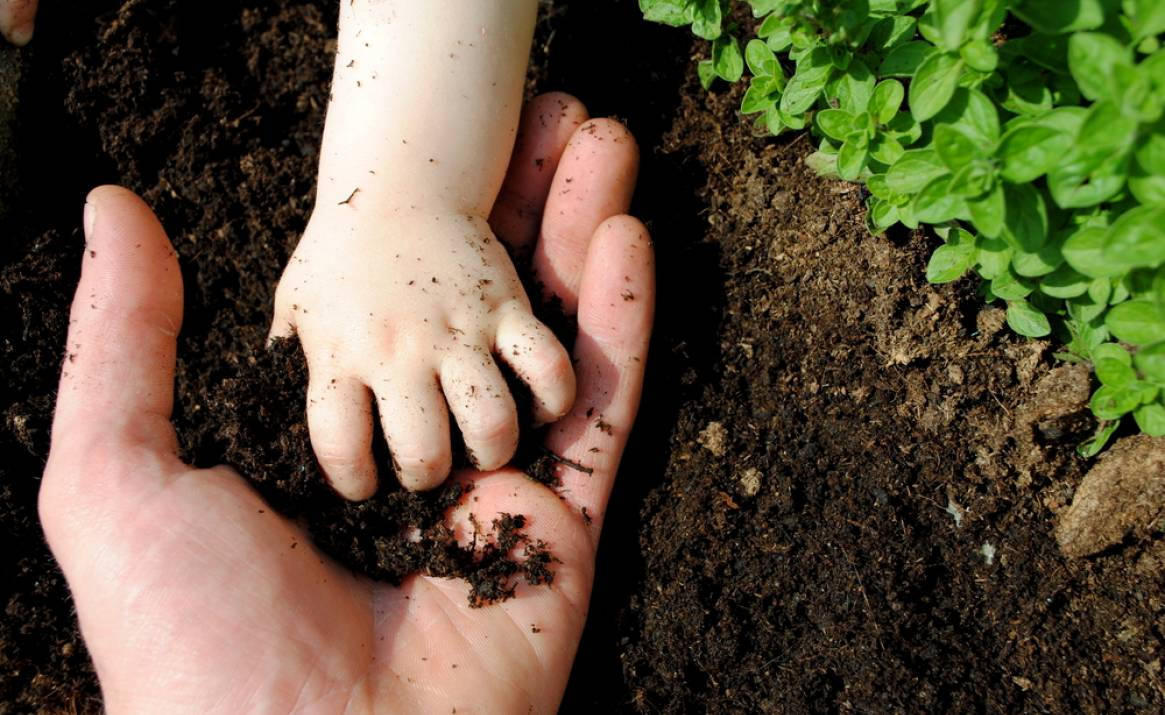 Új támogatási forma a gazdáknak (Hangoló 2022. 09. 01.)