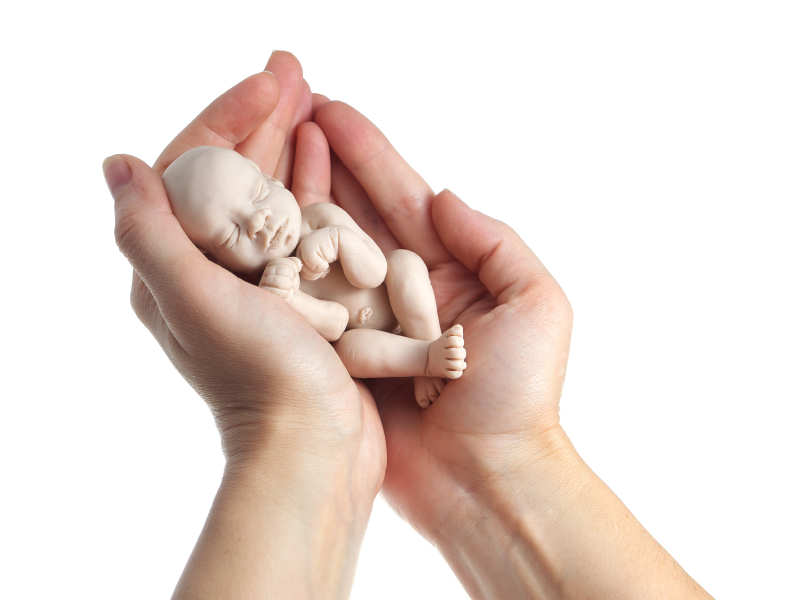 Láthatóvá válik a láthatatlan! (Hangoló 2022. 09. 15.)