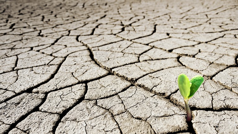 „A válságban is kell enni!” (Hangoló 2022.10.03.)