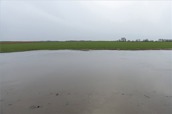 Elszoktunk tőle, de örvendetes a rengeteg eső (Lábjegyzet 2023.01.19.)