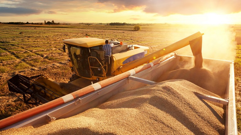 Európa nyakán marad az ukrán gabona (Hangol 2023.02.06.)