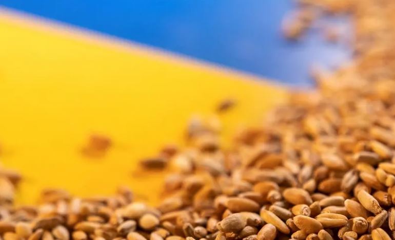 Brüsszel tiltakozik az importtilalom ellen, de más megoldást nem kínált (HANGOLÓ, 2023.04.17.)